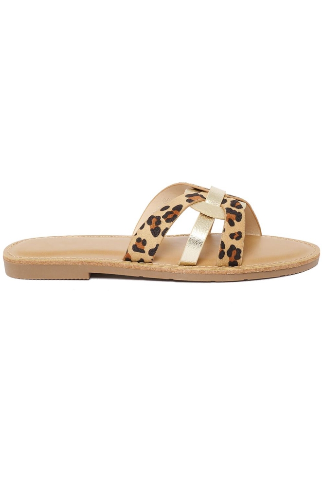 AS COW 13000809 3835 CAMEL